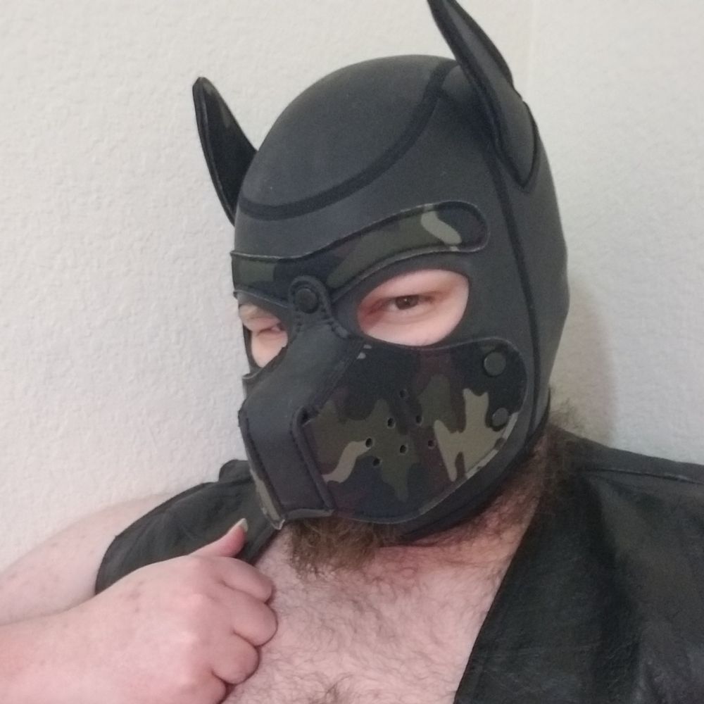 Pup Bypass