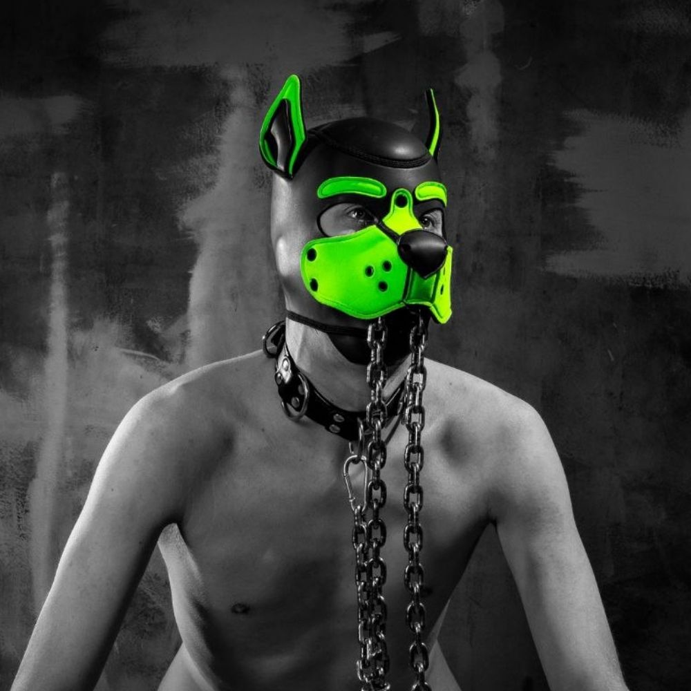 Pup Lazzy