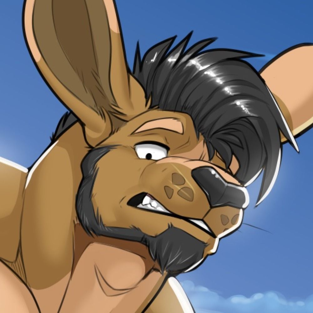 Seffer Roo's avatar