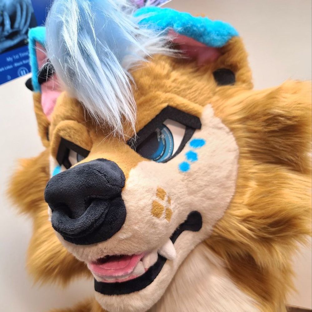 Dallas Pubby
