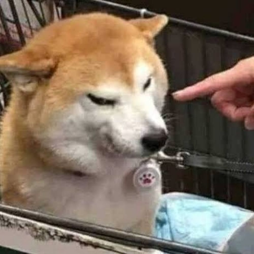 菅龙明