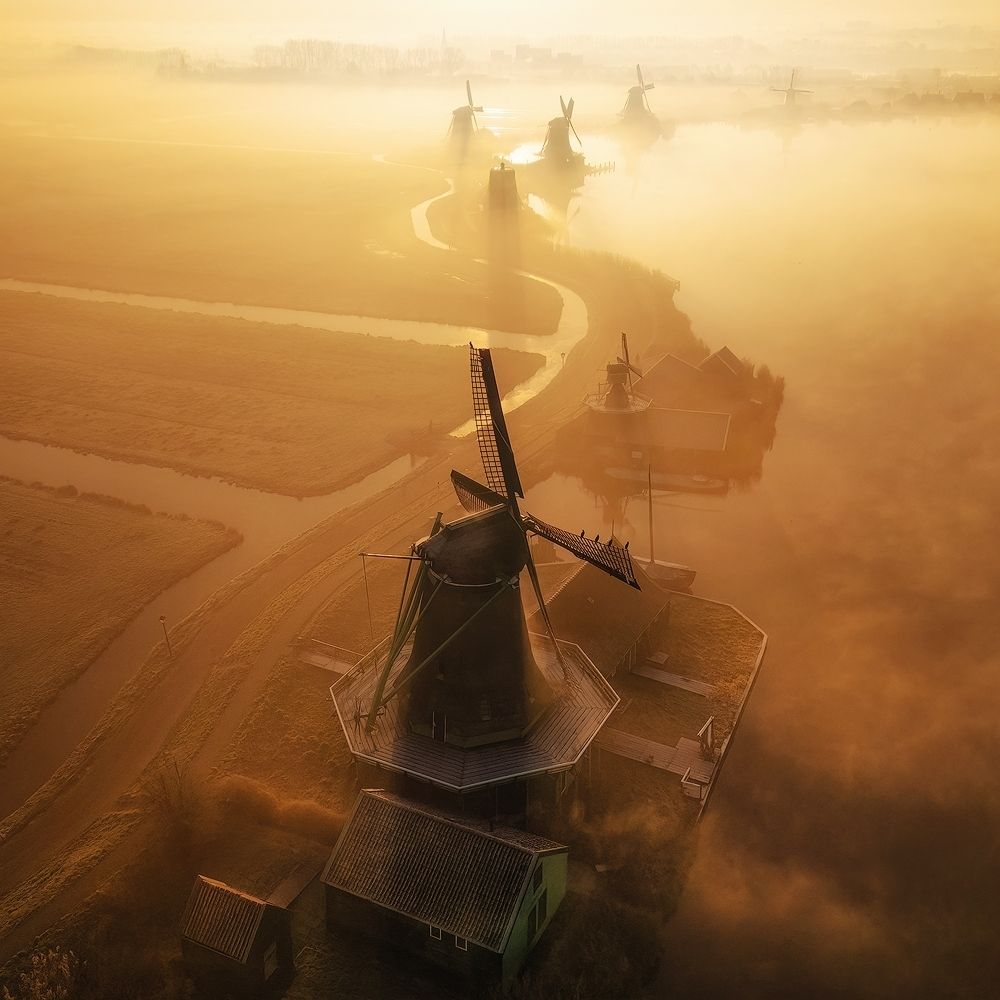 Zelden zo mooi gezien!