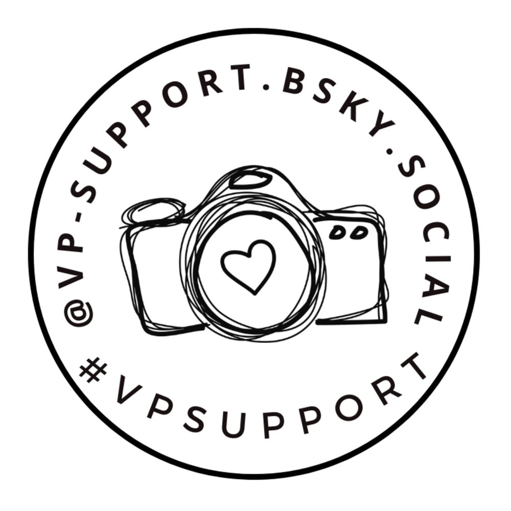 Profile picture vp-support.bsky.social