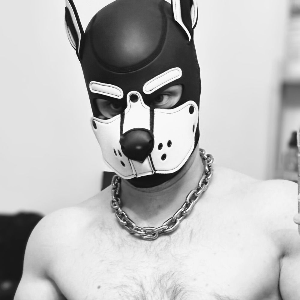 Profile picture wonderwoof.bsky.social