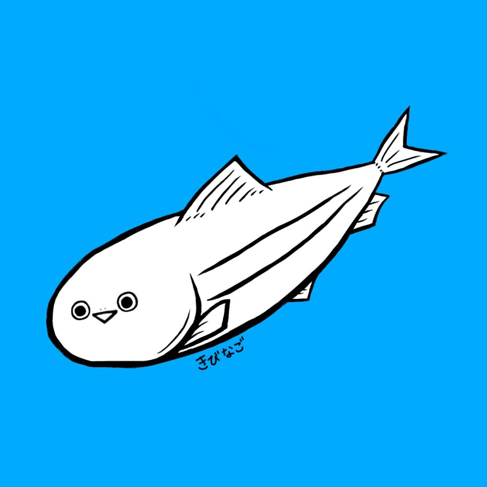 きびなご🐟