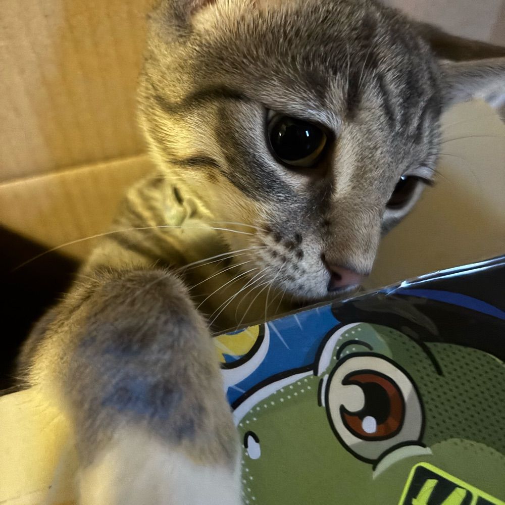 Miso Le