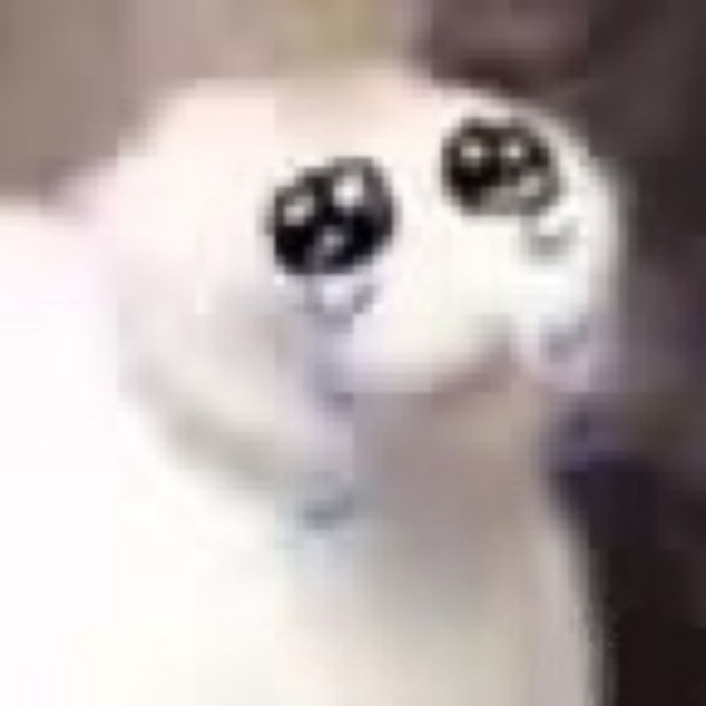 KeiSxixth