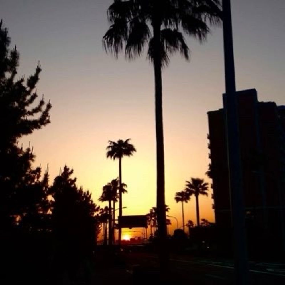 夏夢
