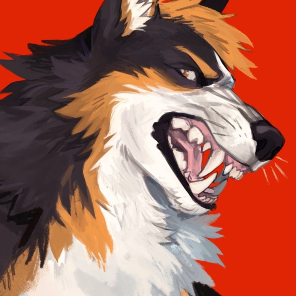 Corgnito