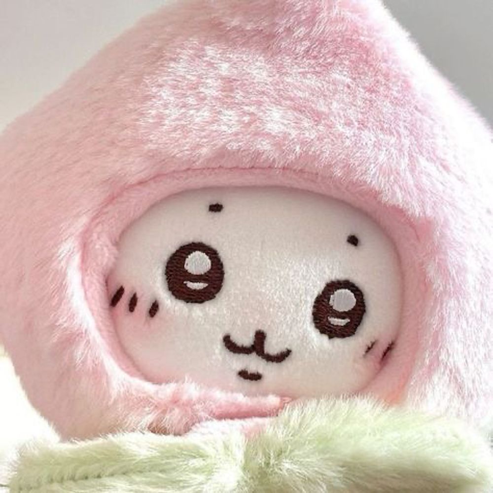 ʀᴀʙɪᴅ ɢᴜᴛꜱ ★