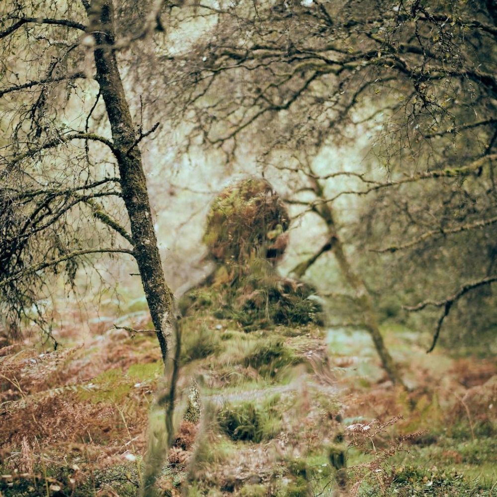 Jim Collinson