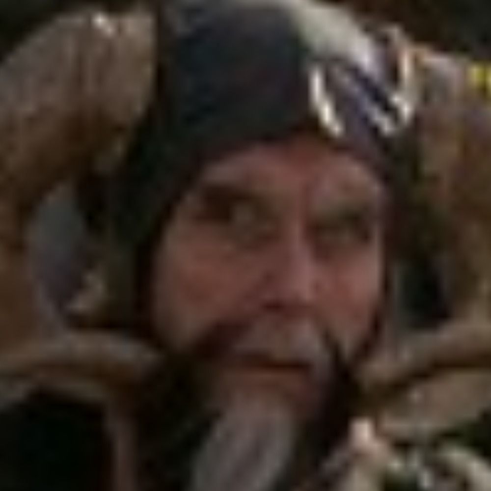 Dan C. Wlodarski
