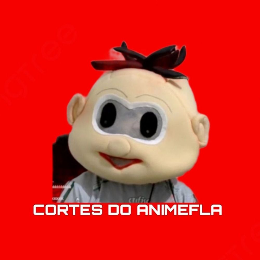 CORTES DO ANIMEFLA 🇰🇷⚽