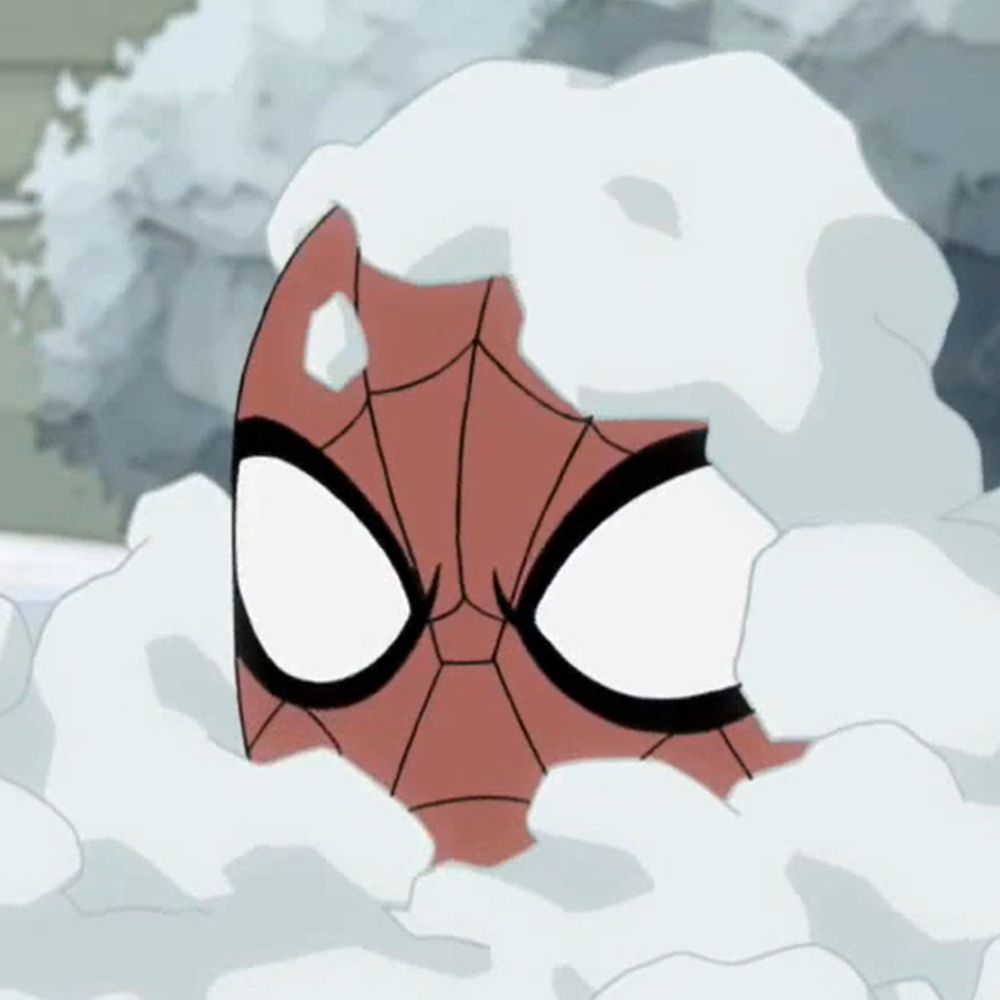 usm2012spidey_hoyey