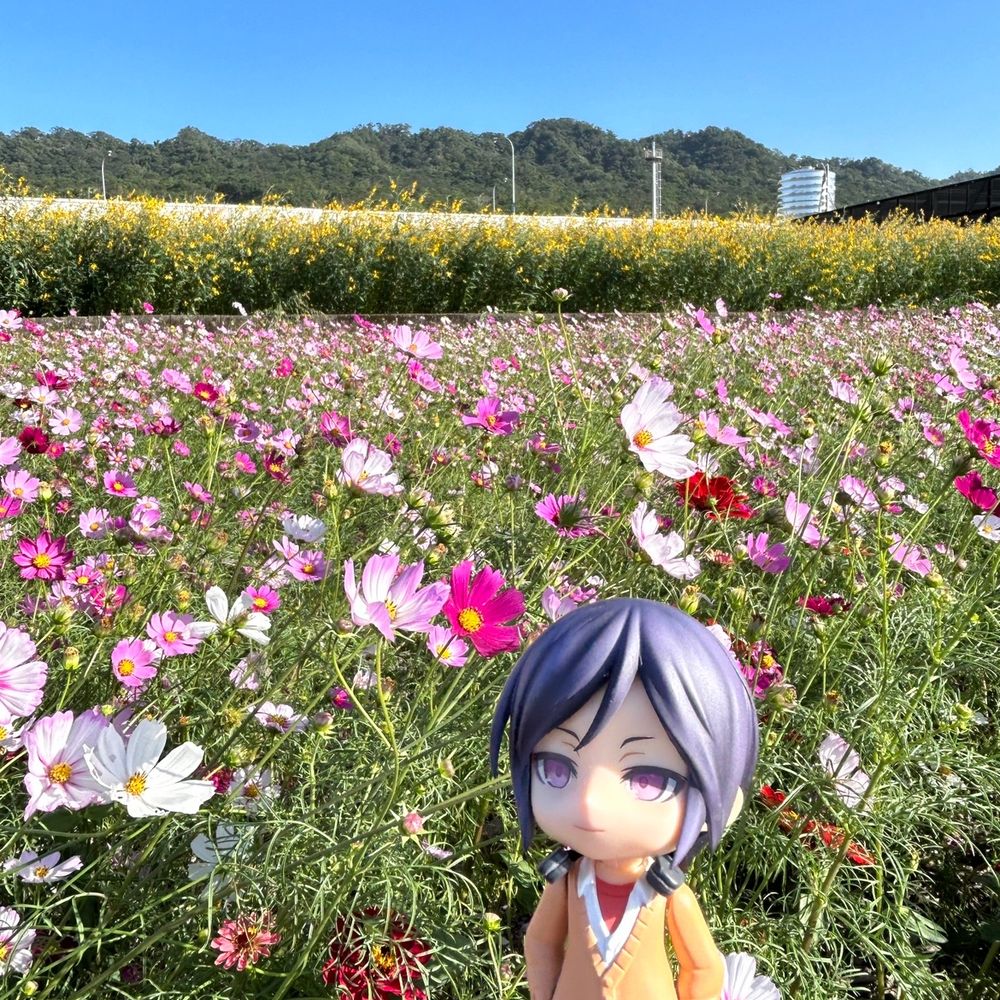 Niichi