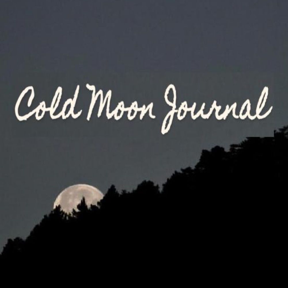 Cold Moon Journal