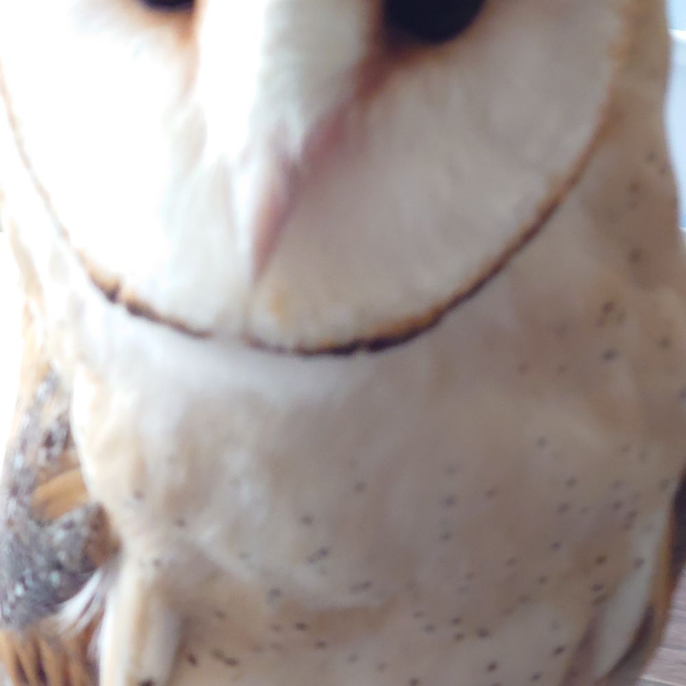 蒼翠