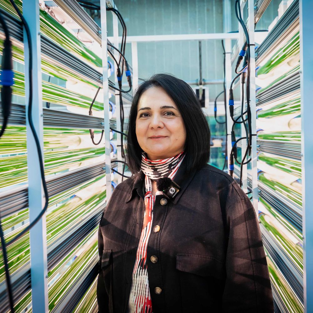 Yagut Allahverdiyeva-Rinne