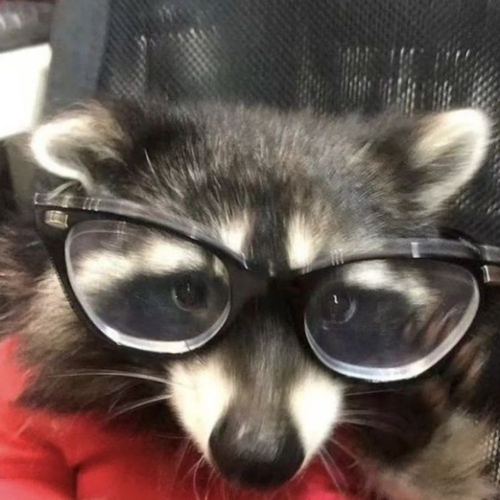кевин ! 