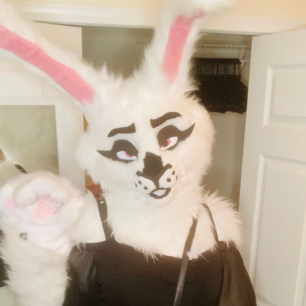 BettieBunnie