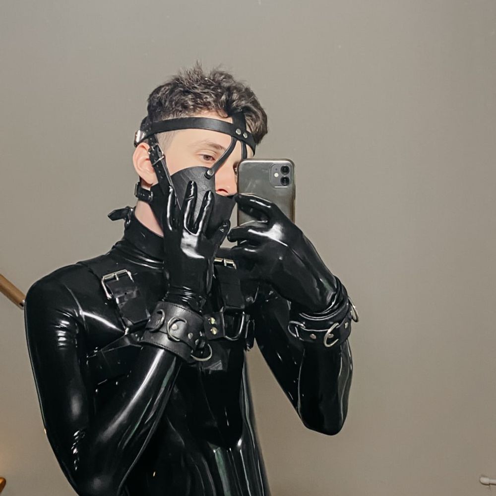 Puppy gimp