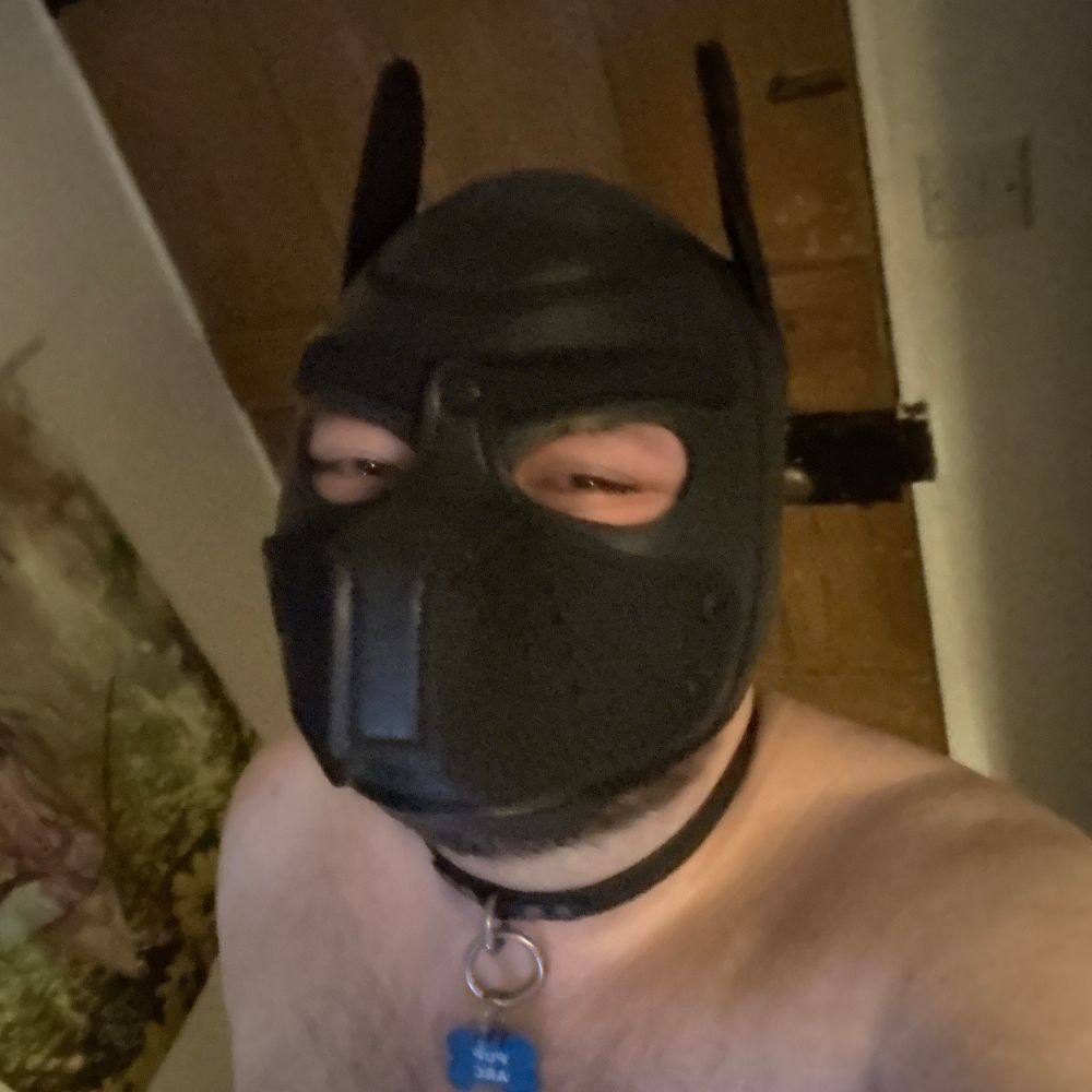 Pup Arc