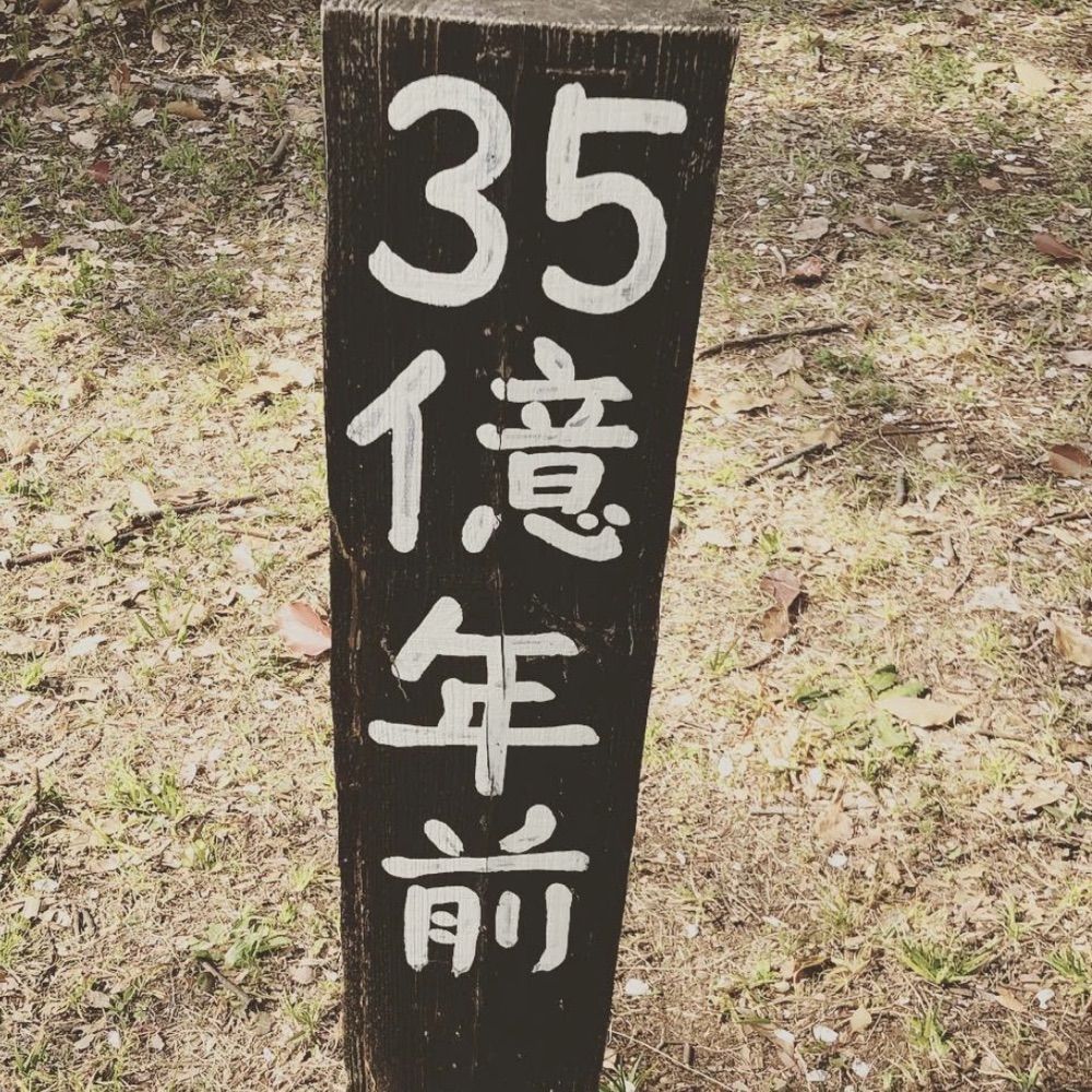 もい