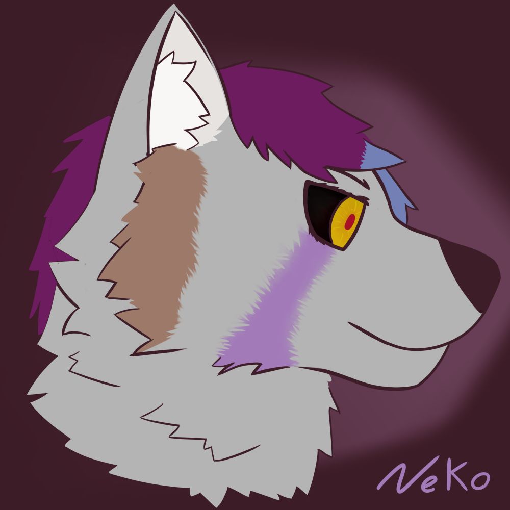 NeKo