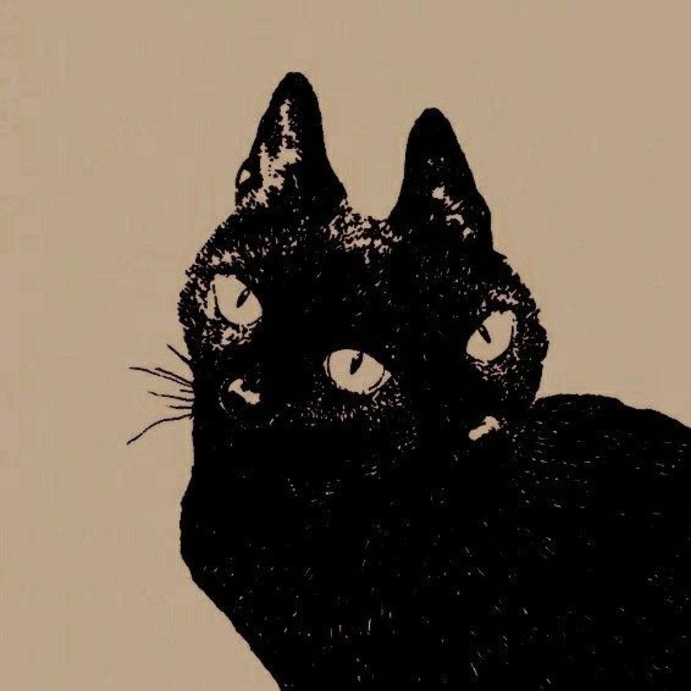 Phisx 🐈‍⬛