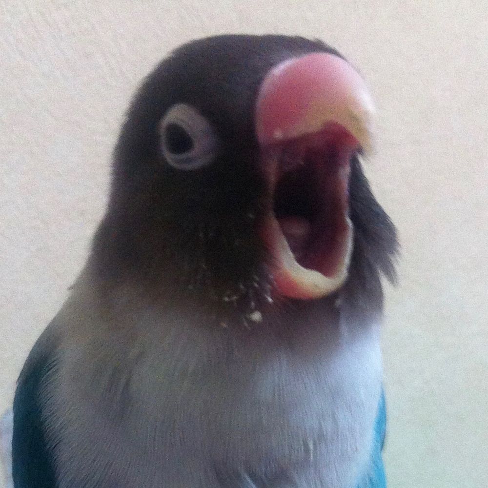 ぬうたろう