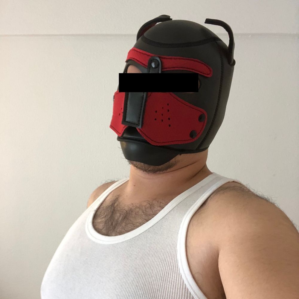 hog