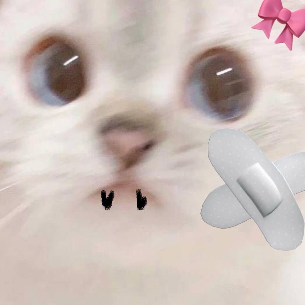 랑해