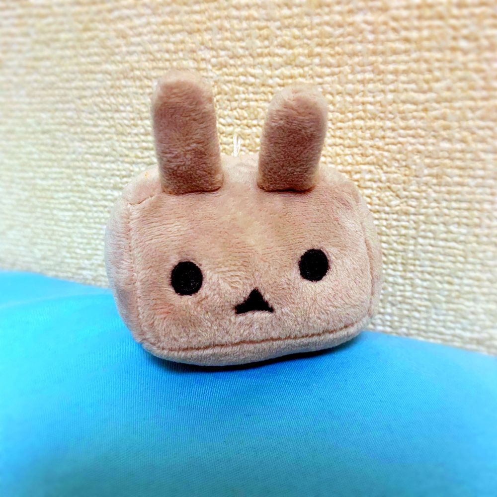 みなみだしにか