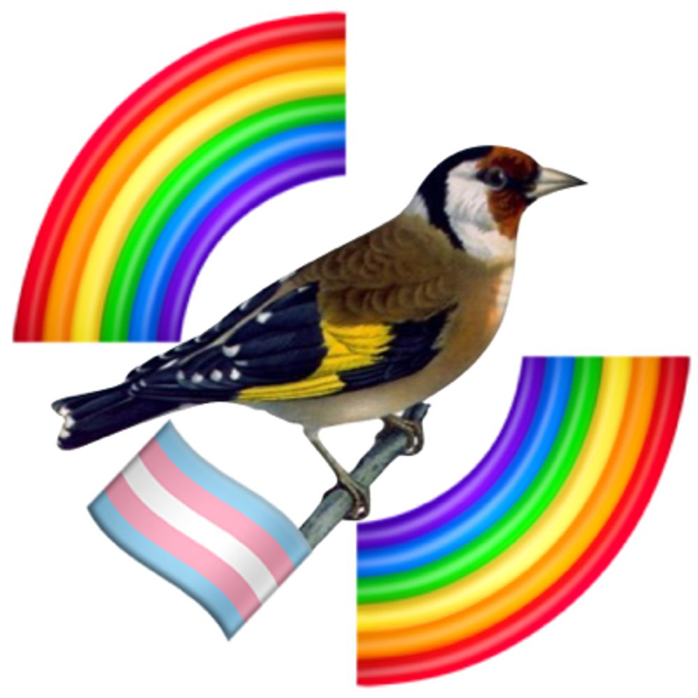 tikli 