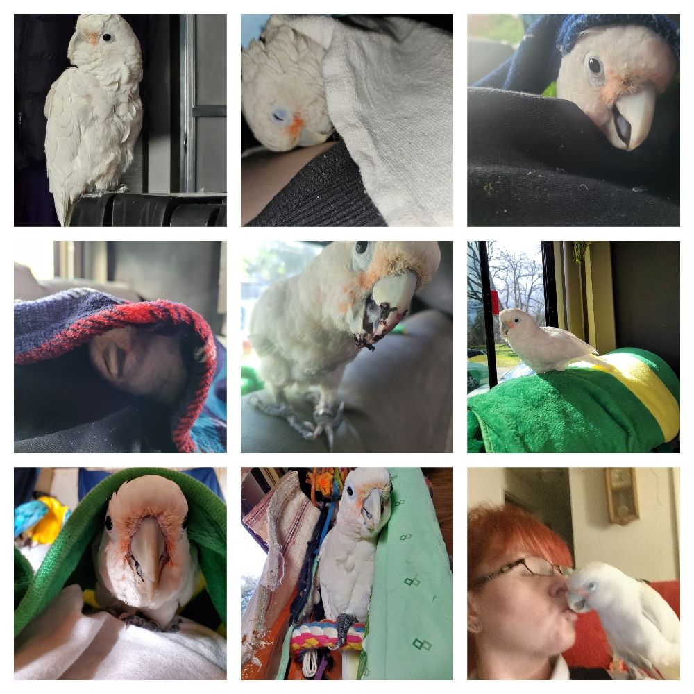 KatieD.🦜