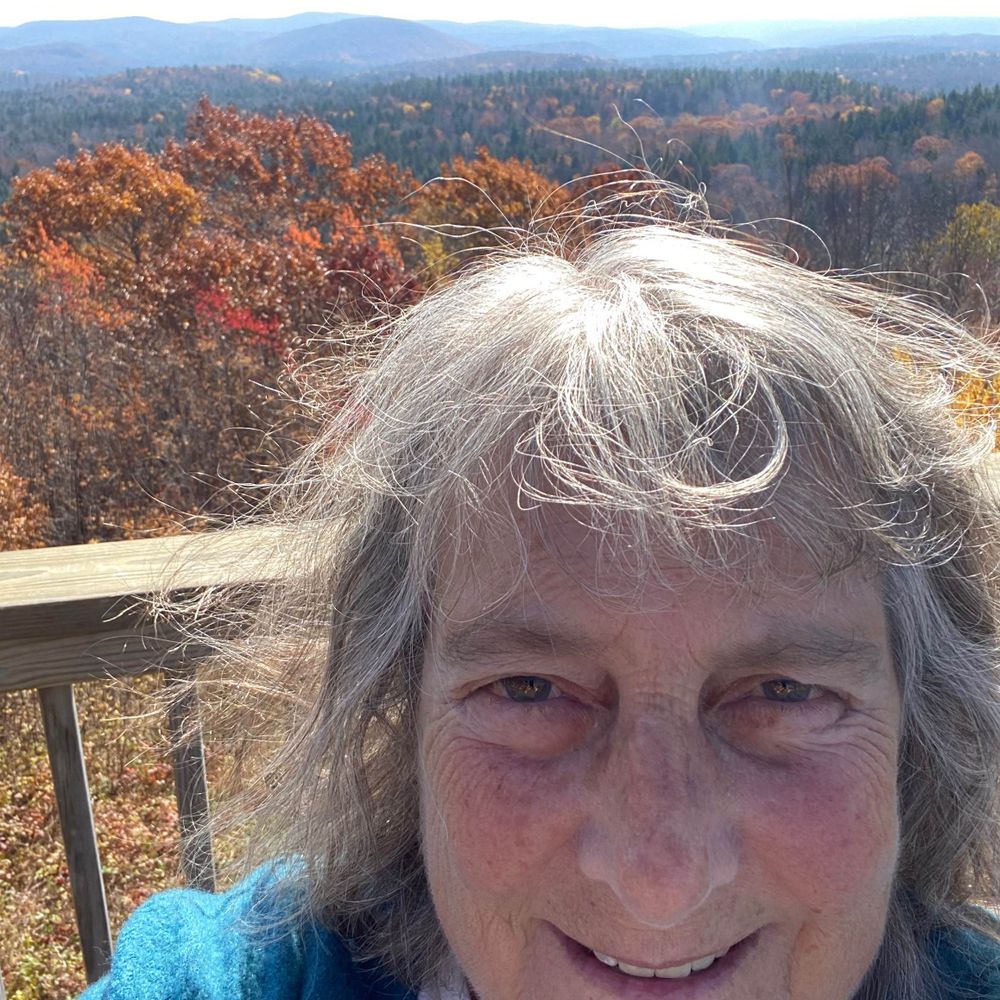 Kim Wallach
