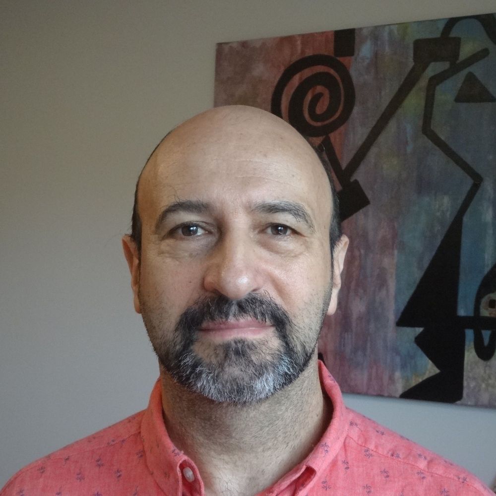 Domenico Libri