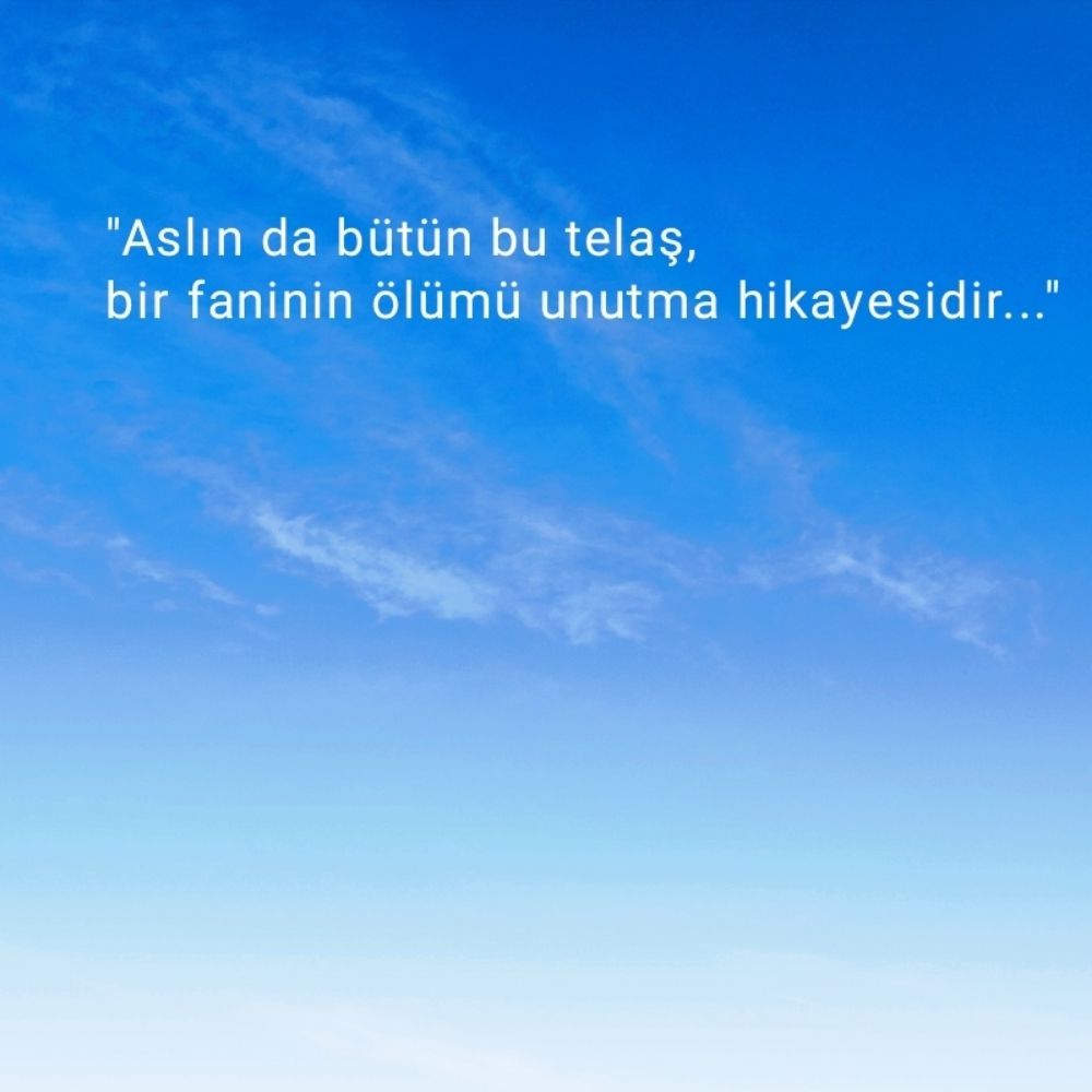 ahmet kormaz