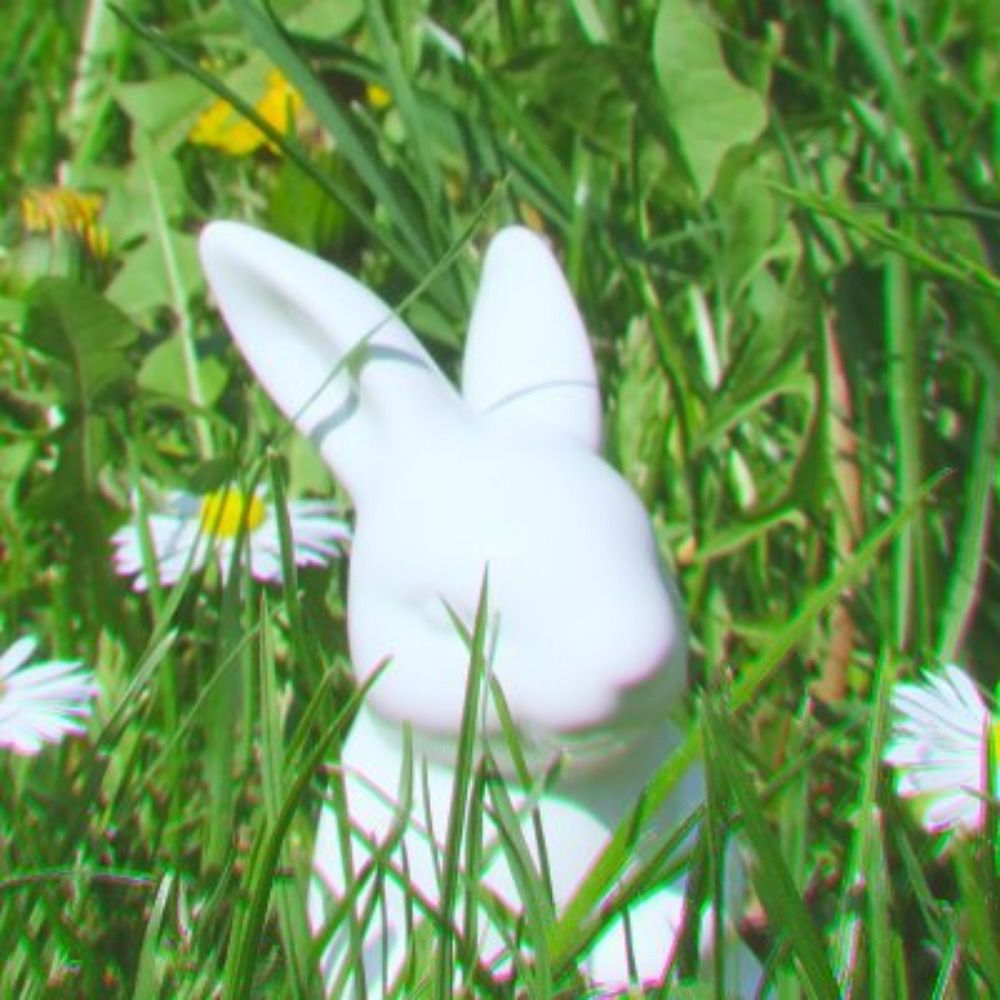 vanna 🐰