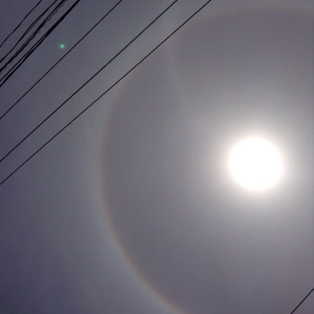 4℃