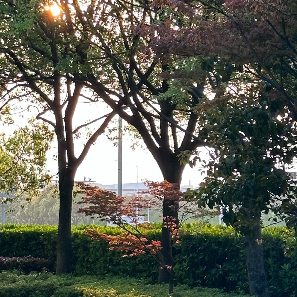 wujiechao.bsky.social