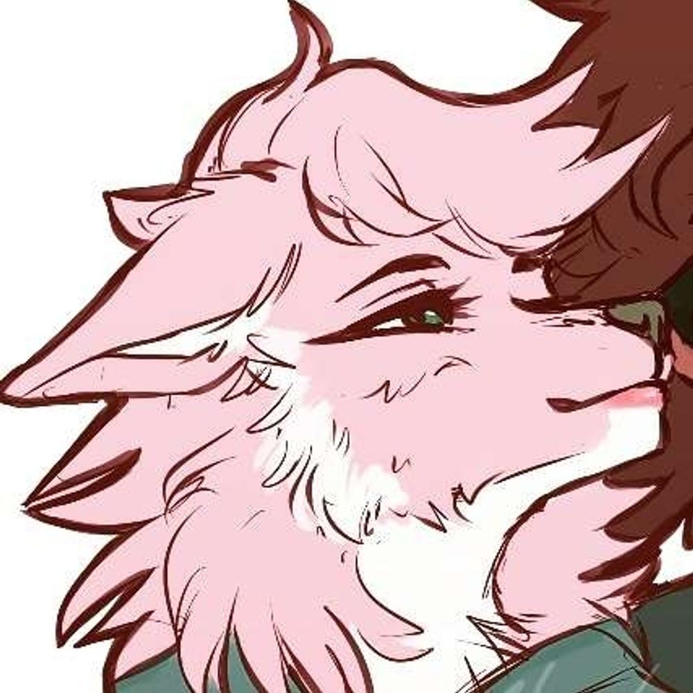 KioriKiwi