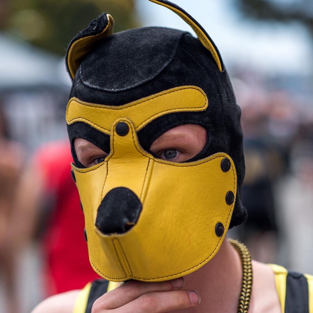 Whisper pup