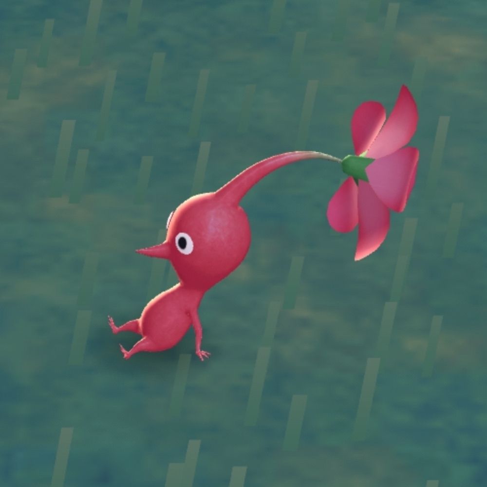 Stinghy