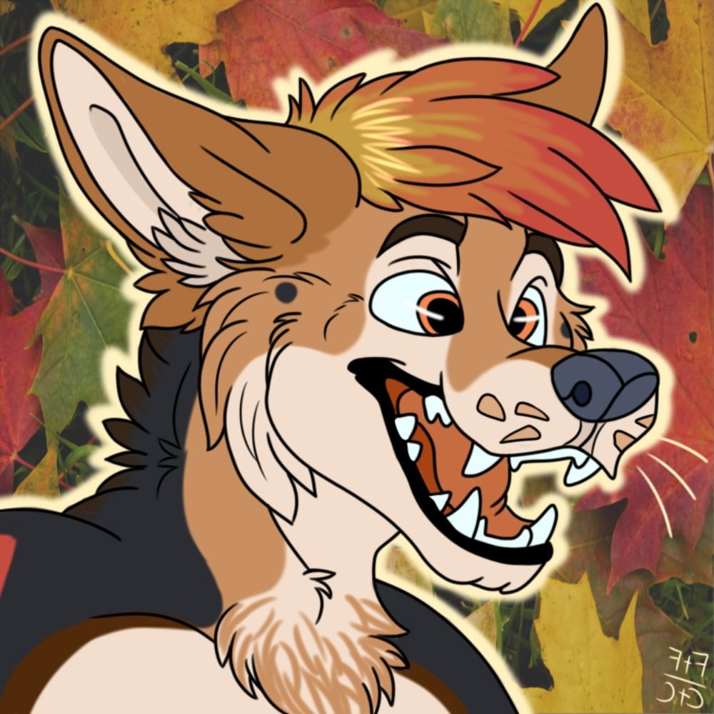 Aero Shep