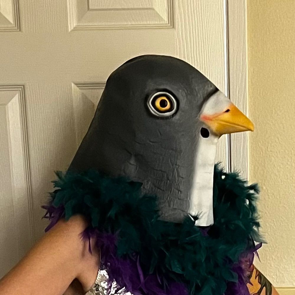 Stav