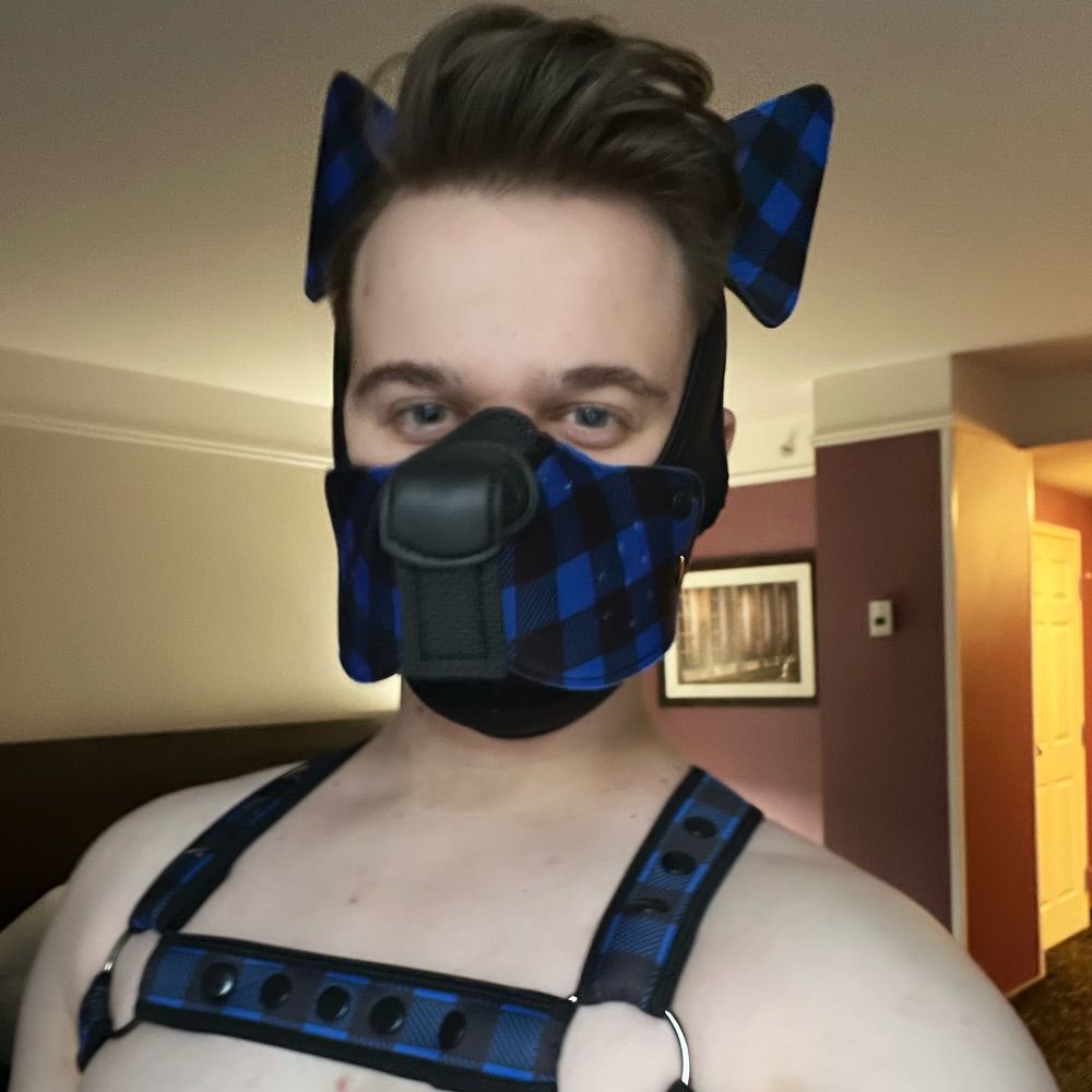 Pup Dodger