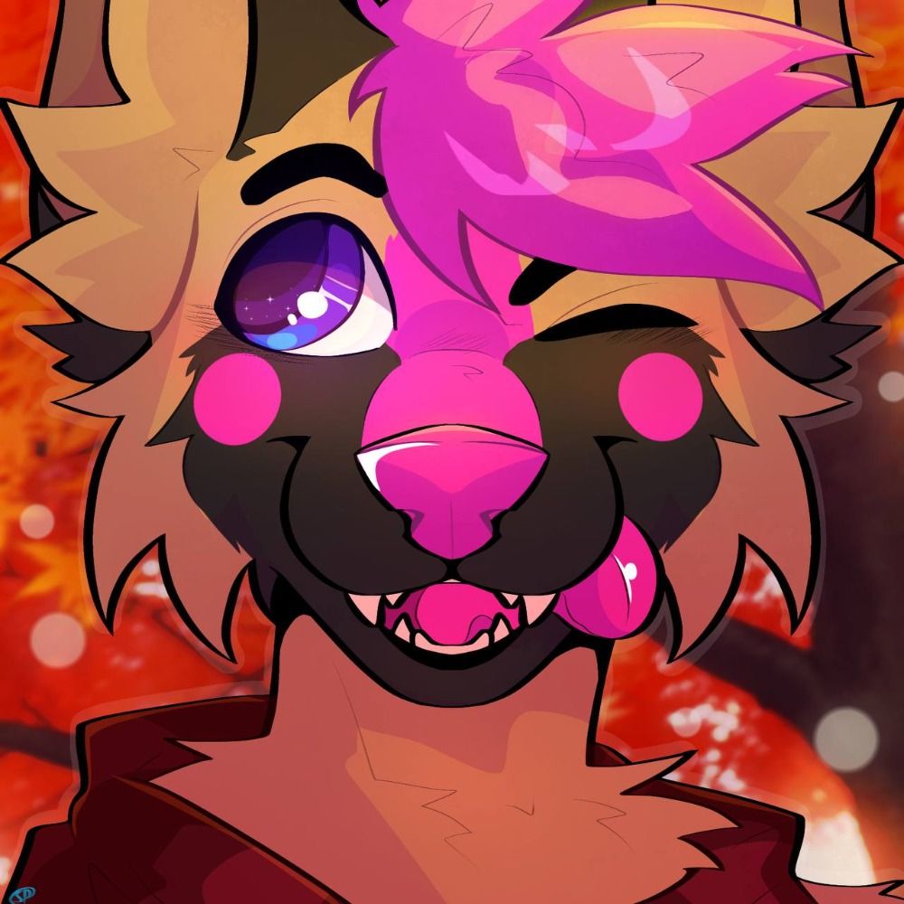 Fluxx, the nerd shep