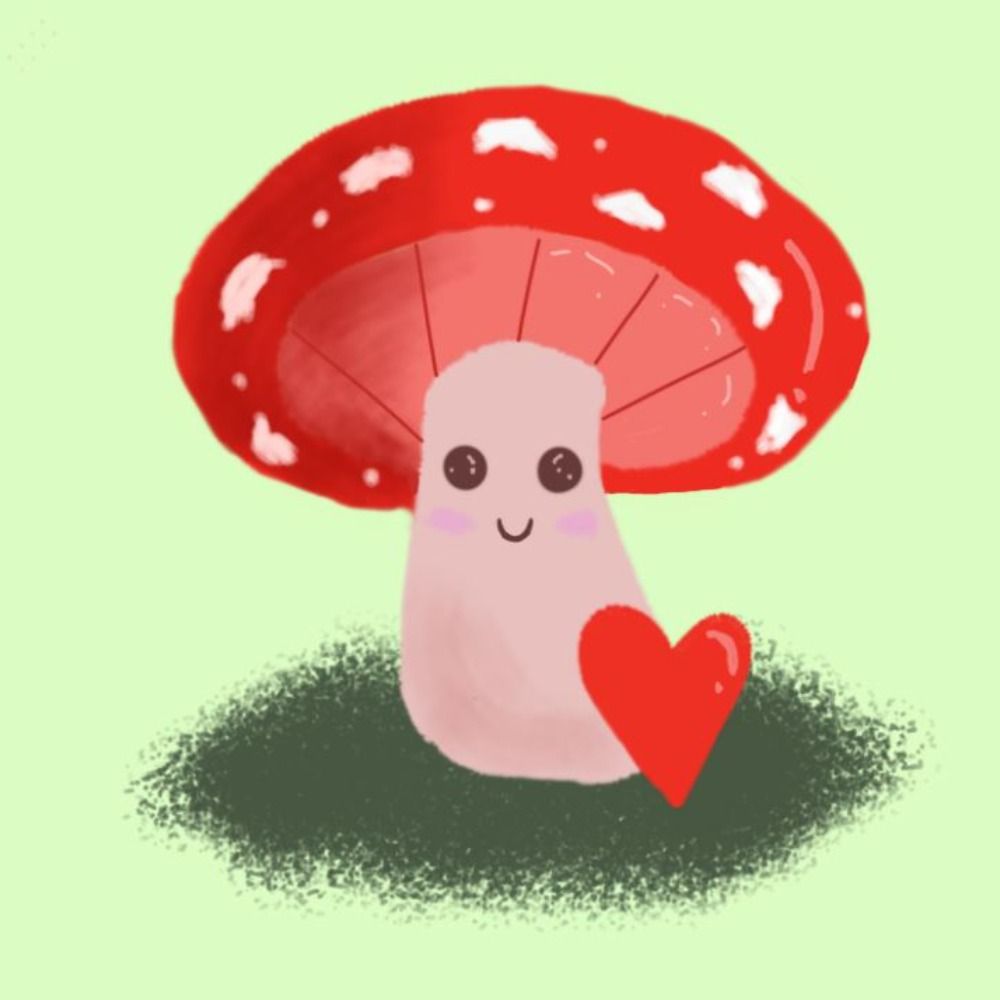 Caty Mushroom