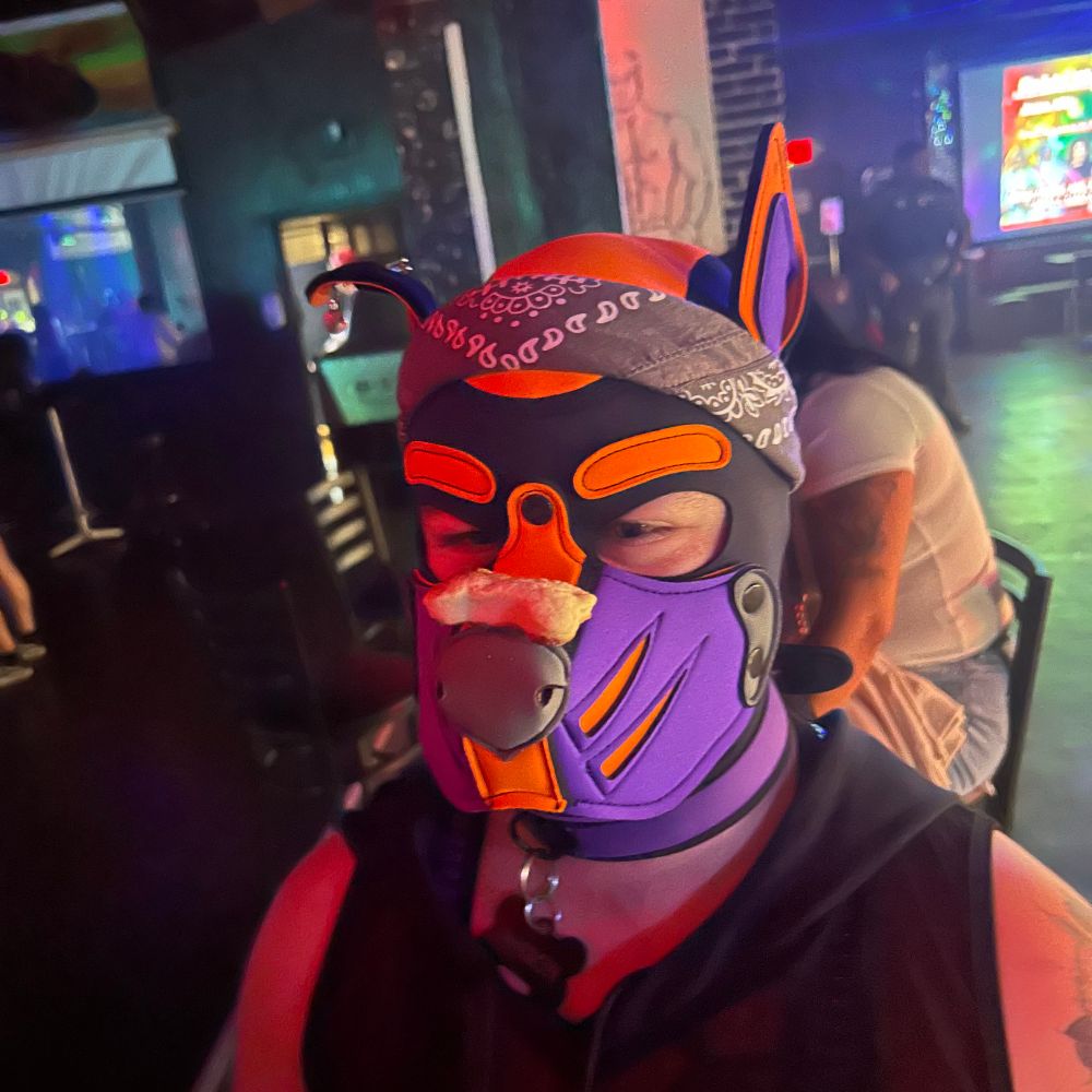 🐾PupMason 🏳️‍🌈🏳️‍⚧️